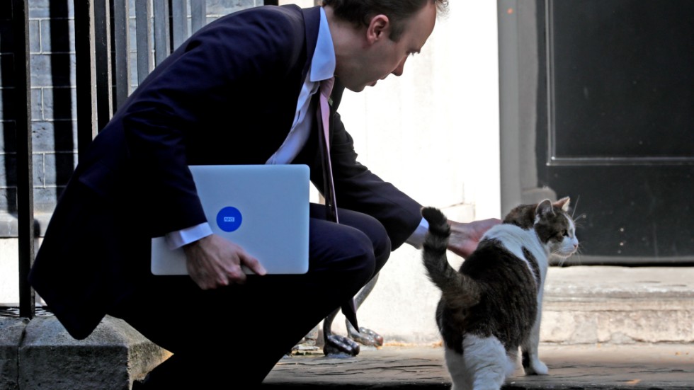 Larry, en av de katter som kvarstår i det brittiska rikets tjänst, utanför premiärministerns bostad 10 Downing street.