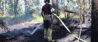 Brand bröt ut i skog utanför Björklinge