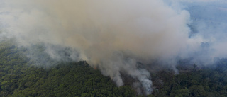 Rekordmånga bränder i Amazonas