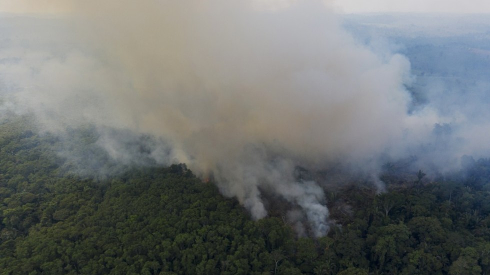 En skogsbrand i Amazonas i november i fjol.