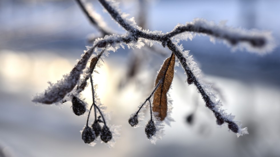 Temperaturen i gryningen i Vimmerbys kommun låg på 18 minusgrader.