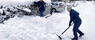 Befria småhusägare från snöskottningslagen 