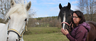 Kampanj ska stoppa smittsam hästsjukdom: "Drabbade är rädda att prata"