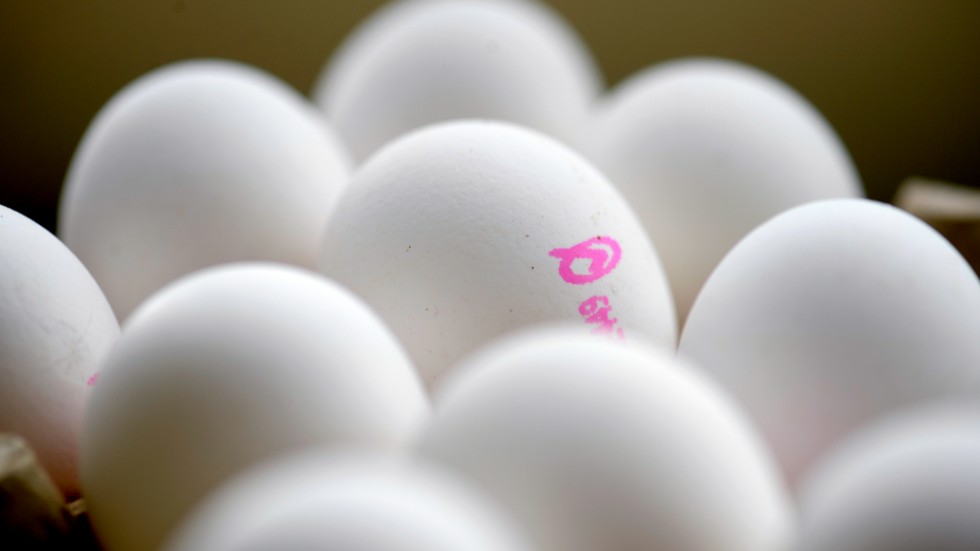 Om fler konsumenter köper kravmärkta ägg gynnas både hönorna och miljön, skriver Anita Falkenek, vd KRAV.