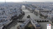 Förbud hotar elsparkcyklar i Paris