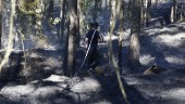 Så hjälps vi åt att undvika skogsbränder i Sörmland