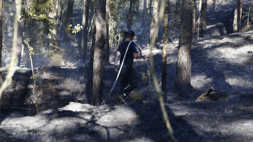 Både allmänhet och skogsägare i Sörmland kan bidra till att minska risken för skogsbränder i sommar, skriver representanter för stiftelsen Skogssällskapet.