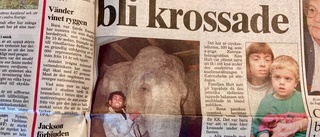 Fyraåring nära att krossas av elefant • Läsarbilder från klockan 11.11 den 11.11.11