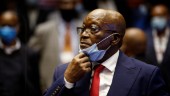 Zuma vädjar om att slippa fängelse