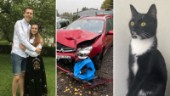 Katten Chanel smet när paret kraschade med bilen: "Det blev rök i hela bilen och buren fick sig en rejäl smäll"