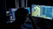 Norra Sverige ett eldorado för spelbranschen: ”Har bara sett början på resan”