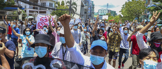 Myanmar släpper fängslad japansk journalist