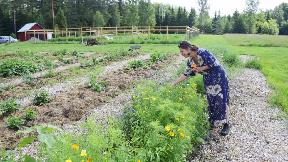 Linda Ogebrink håller kurser i odling och har i två somrar haft självplock av blommor.