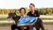 Sigtunahundarna som är snabbast i Sverige