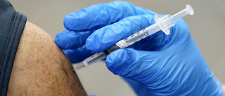 Veterinärer tros ha gett människor hundvaccin