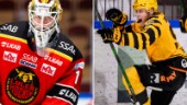 AIK-hjältens sågning av Luleås ersättare: ”Han var ett såll”