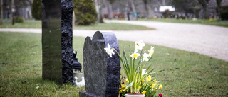 Förtydligande: Nu ska gräset få växa nästan helt fritt på kyrkogårdarna