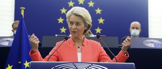 Nya EU-löften: Halvledare och momsfria vapen