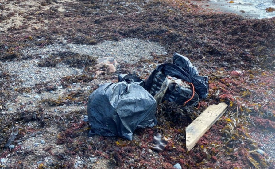 Kokain för över 60 miljoner flöt iland på en strand i Skåne.