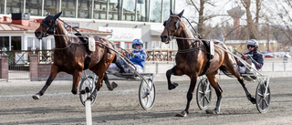 Palt-hästen mosade allt i V75 på Romme