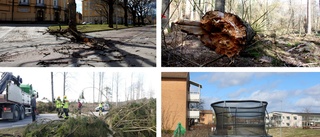 Blåstens framfart: Nedblåsta träd, studsmattor på rymmen och trafikproblem