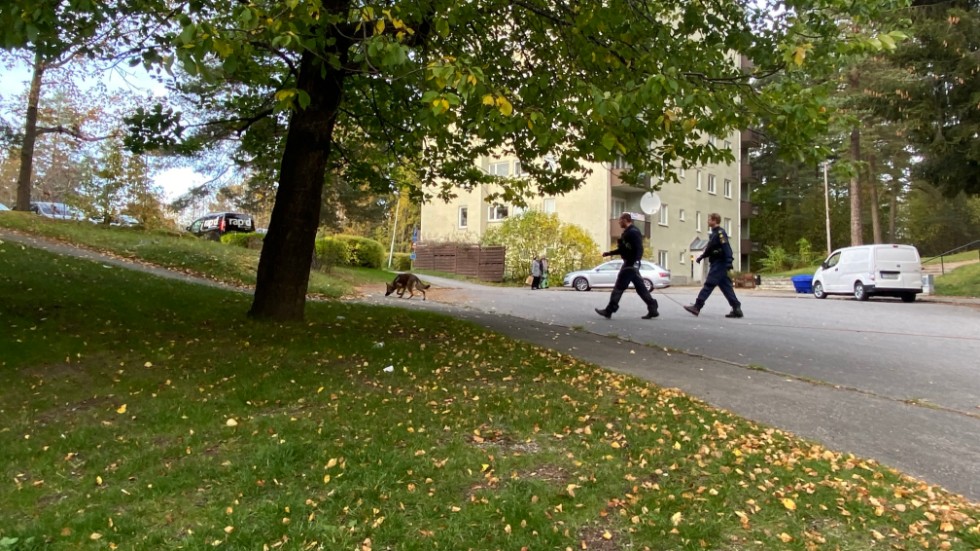 En person hittades skjuten i Fröslunda i Eskilstuna på torsdagen. Polisen vädjar om hjälp att lösa fallet.