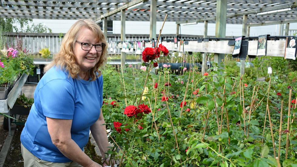 Anette Hagelin Emilsson, en av ägarna Hagelins Handelsträdgård, har märkt ett ökat intresse för trädgård och odling under det senaste året.