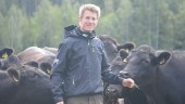 Hoppfullt kring årets skörd – så långt • Köttbonden Andreas Bergmark: ”Jag skulle vilja kalla det rekord” 