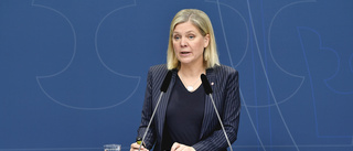Statsministern måste stå upp för svenska intressen i EU