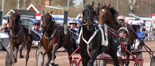 Mantorps stjärna närmare elitloppet