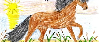 Kan du måla en häst?