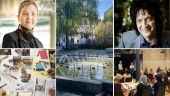 Jakten på Katrineholms själ har startat – parollen Sveriges lustgård kan vara på väg att slopas: "Svår att använda"