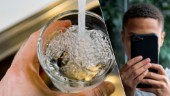 Kritiken efter bakterielarmet – kunder hann dricka vattnet innan informationen nådde ut: "Det behöver vi se över"