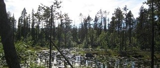 Naturskyddsföreningen fick rätt