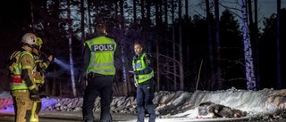 Polisen efter alla viltolyckor: Ta varningsmärken på allvar