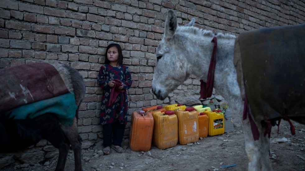 Afghansk flicka i Kabul, bild tagen i november. Fyra miljoner barn i Afghanistan går enligt Unicef inte i skolan.