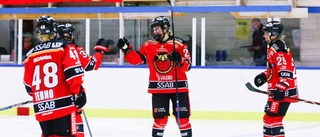 Backstjärnan visade vägen för Luleå Hockey