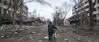 Mariupol – staden Putin vill förstöra till varje pris