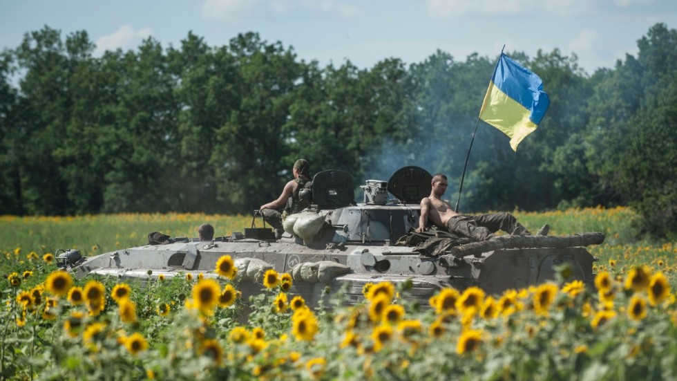 Ukrainska soldater i ett solrosfält i östra Ukraina 2014, året då Ryssland annekterade Krim.