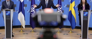 Linde om Nato: Alla optioner är öppna