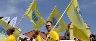 Vem röstar på Sverigedemokraterna?