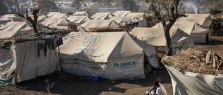 FN: Fem miljoner riskerar svält i Sudan