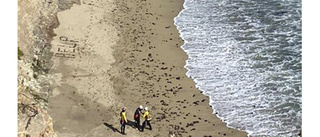 Surfare i USA skrev "HJÄLP" på strand – räddades