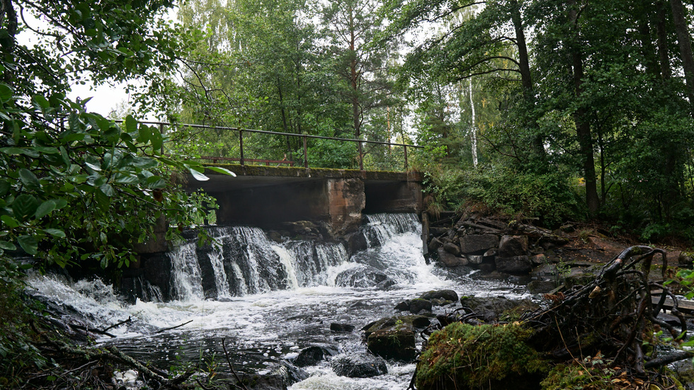 En grupp boende längs med Yxeredsån vann mot Västerviks och Vimmerby kommuner i mark- och miljööverdomstolen.