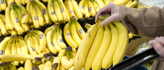 100 kilo kokain hittat bland bananer i Lidl-butiker