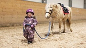 BILDEXTRA: Sötchocken – här hoppar Nelly, 1, med sin ponny