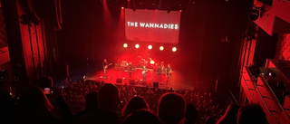 Vilka var på plats för att se The Wannadies?