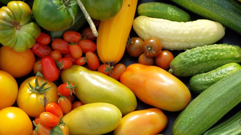 Om fler odlar egna grönsaker bidrar det till den lokala försörjningsgraden på ett positivt sätt!