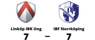 Kryss för Linköp IBK Ung hemma mot IBF Norrköping