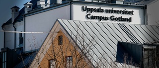 Forskningsfusk skakar Campus Gotland: ”Bekymmersamt”